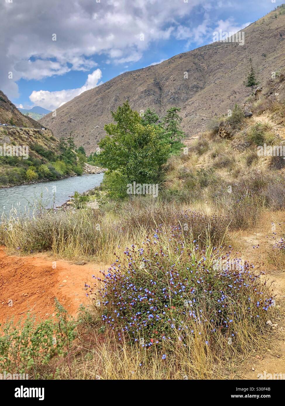 Picturesque Bhutanese landscape. - Smartphone Captured Stock Image