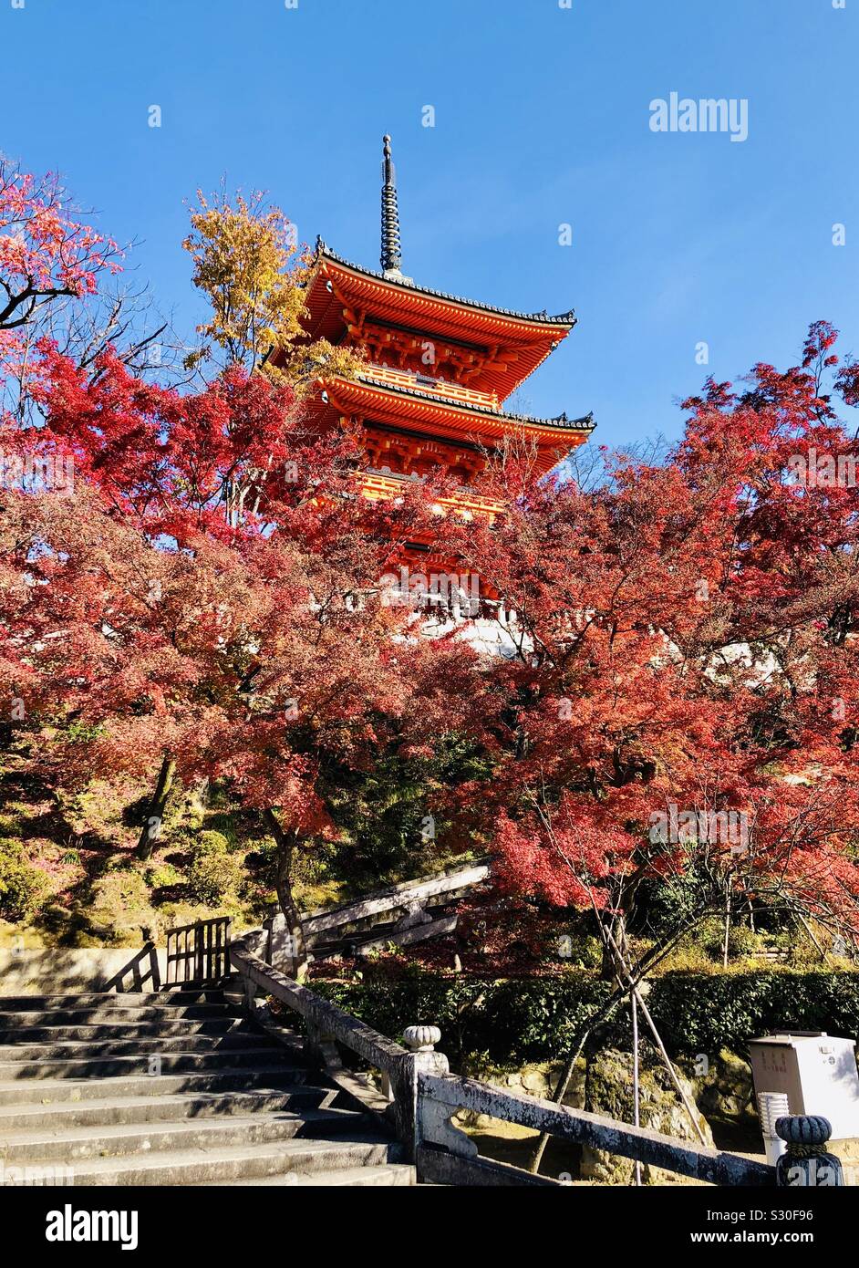Kiyomizu Dera Temple During The Momiji Autumn Leaves Season In Kyoto Japan Stock Photo Alamy
