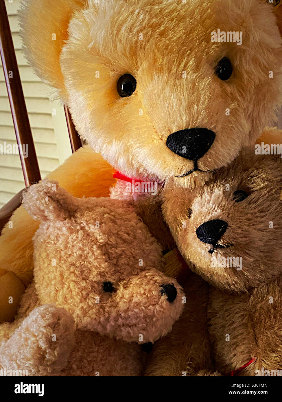Teddy bear family - Smartphone Captured Stock Image