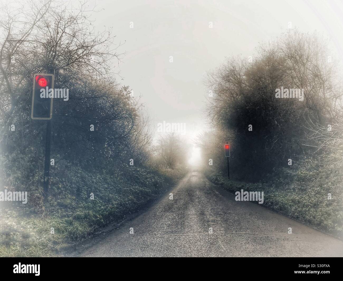 Stopped at a red traffic light during a drive down foggy country lanes. - Smartphone Captured Stock Image