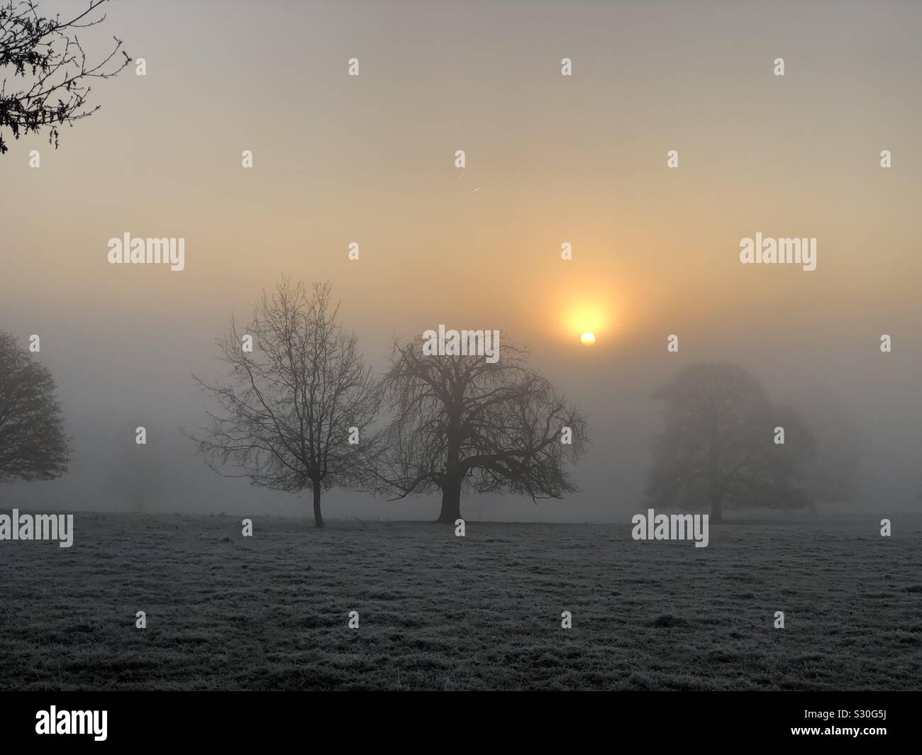 Dawn breaking over parkland with trees, fog, frost and the sun emerging through freezing fog. Stock Photo