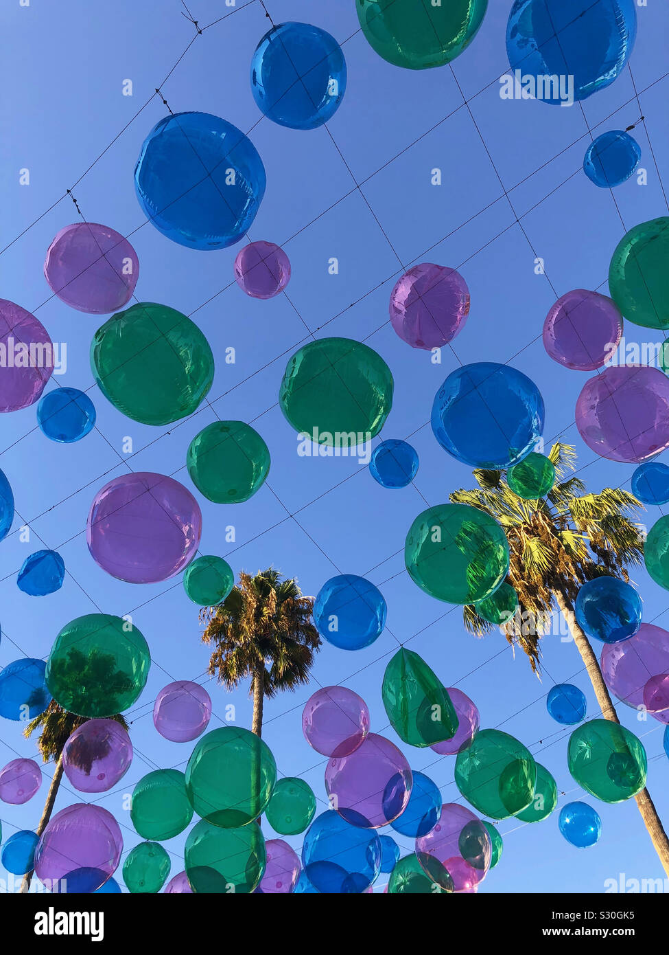 Palm trees and balloons in Santa Monica, California Stock Photo Alamy