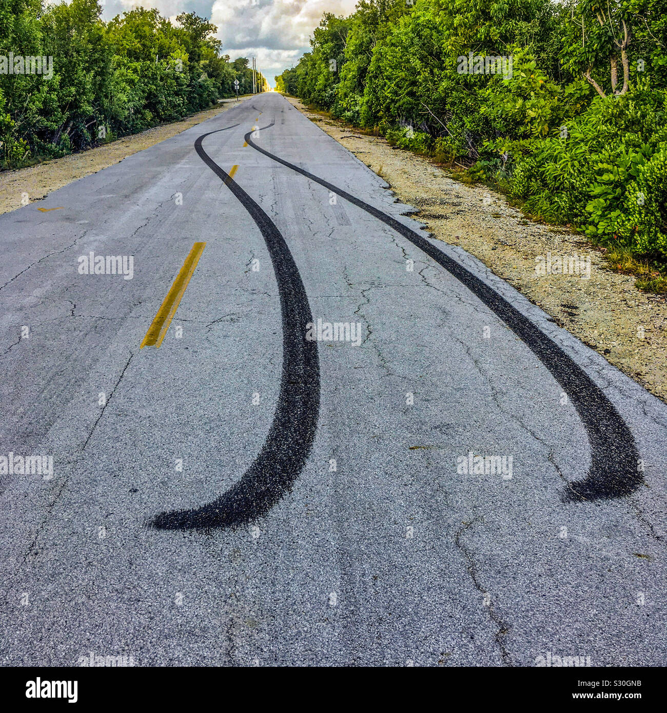 Skid marks Skidmarks at the end of a road, No Name Key, Florida, USA. Stock Photo