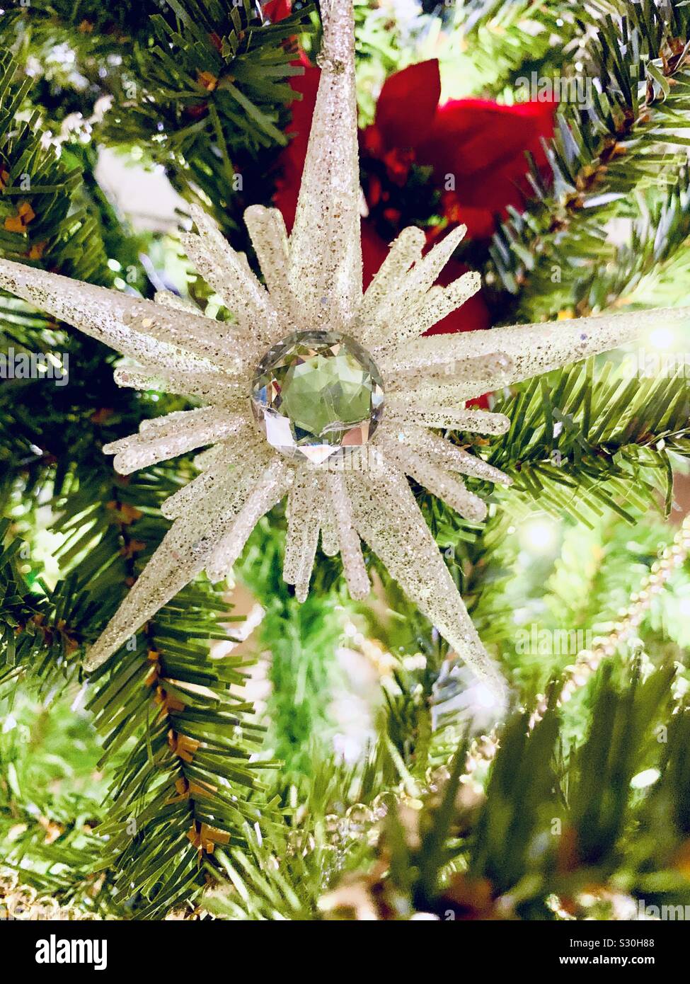 Christmas star - Smartphone Captured Stock Image