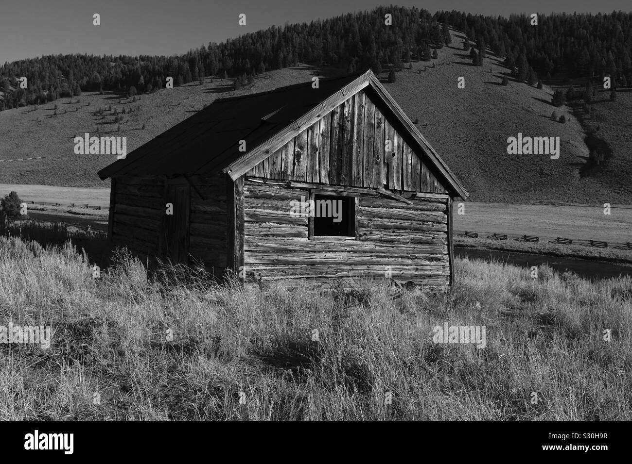 Old log house in field Stock Photo