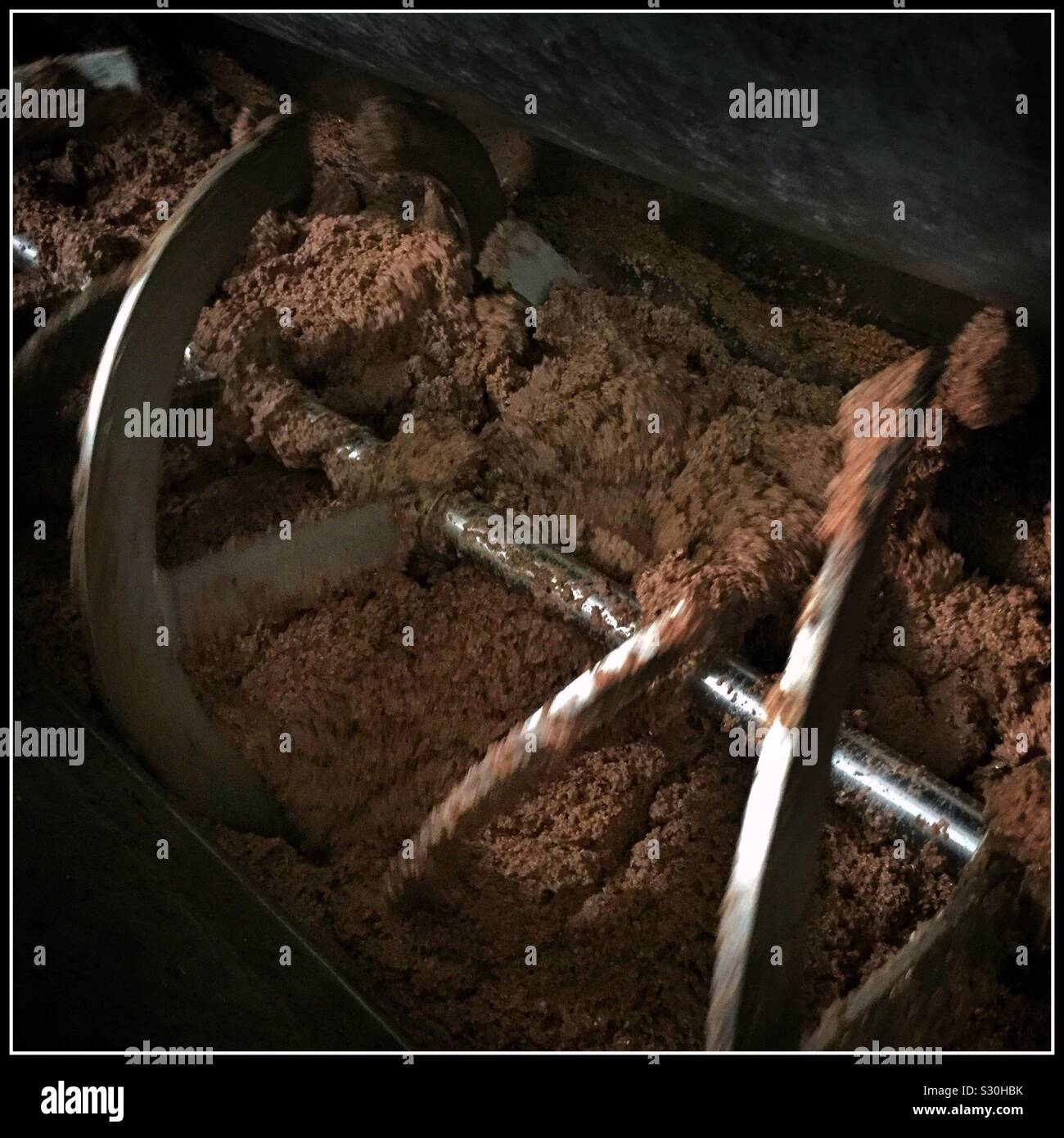 The malaxer processing Farga olives - part of a Pieralisi olive mill in the production of extra virgin olive oil, Catalonia, Spain. - Smartphone Captured Stock Image