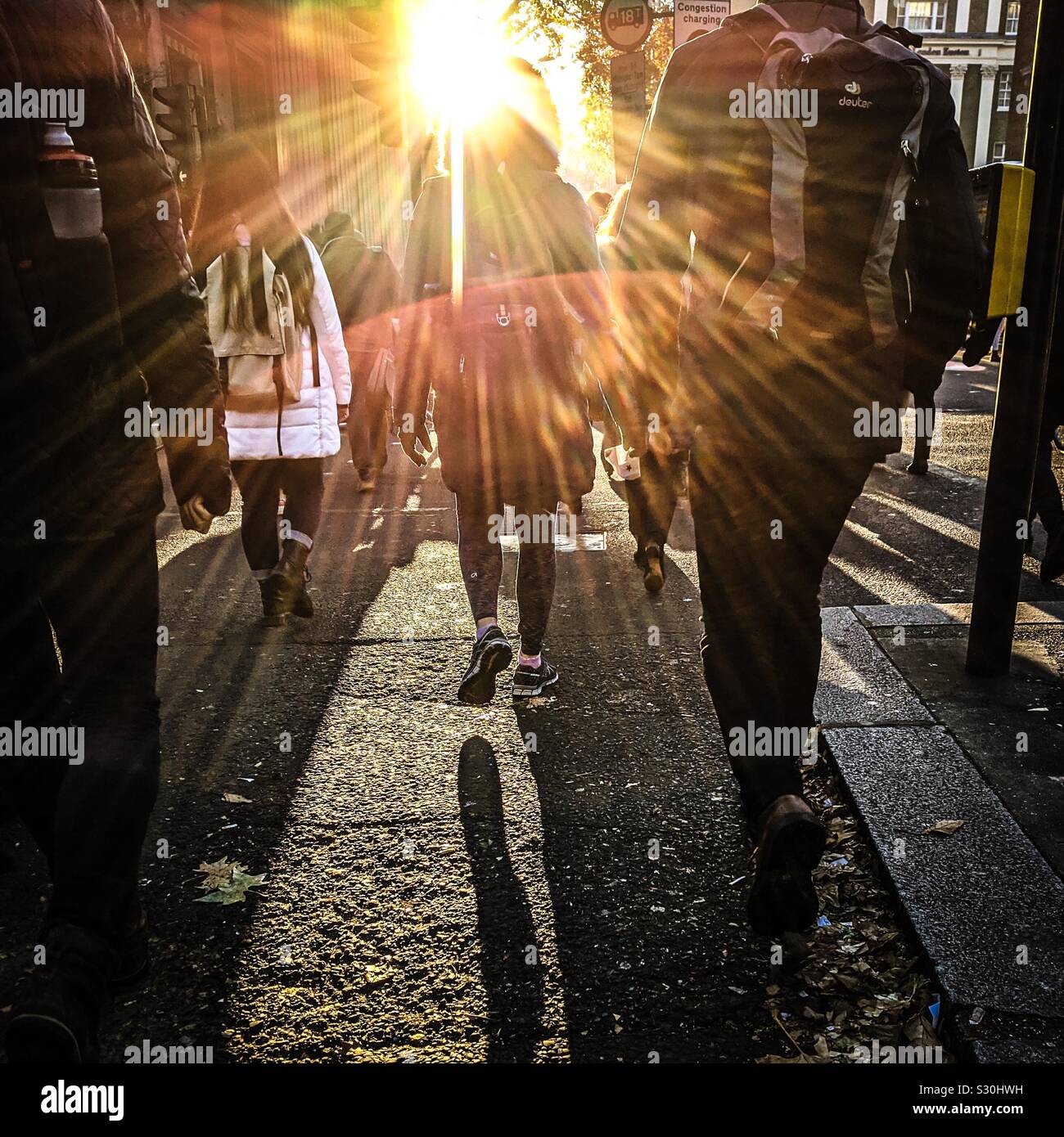 The legs and feet of commuters in london as they cross the road, walking towards the sun - Smartphone Captured Stock Image
