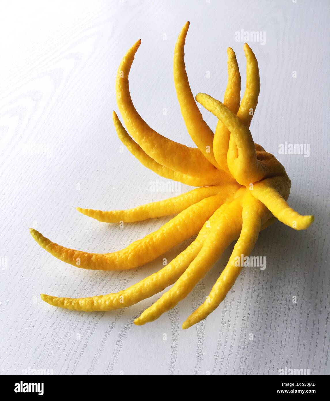 Buddha’s Hand fruit on a white table. Stock Photo