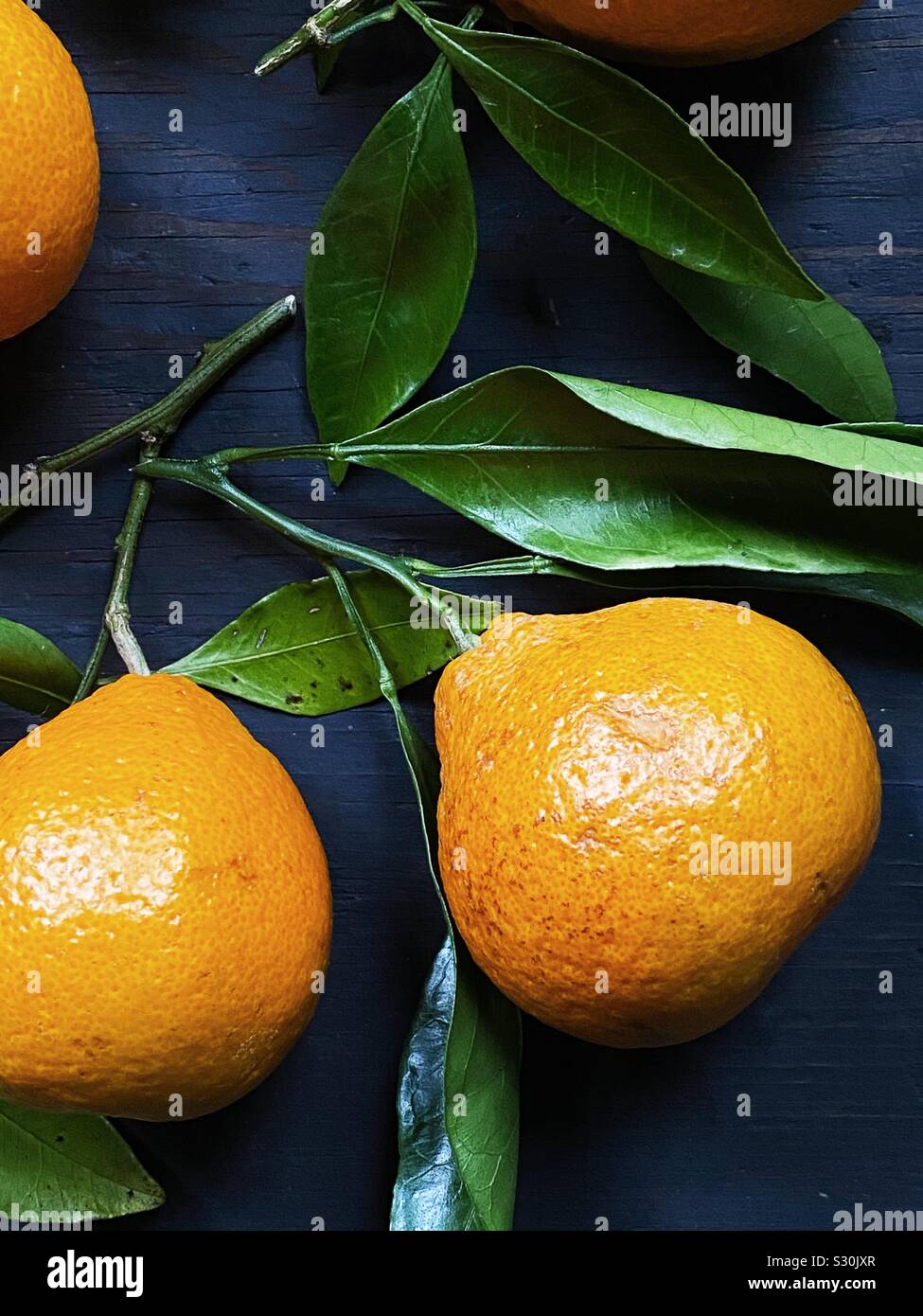 Satsuma with leaves hires stock photography and images Alamy