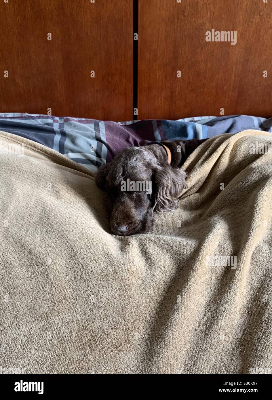 Winter Blues - Smartphone Captured Stock Image