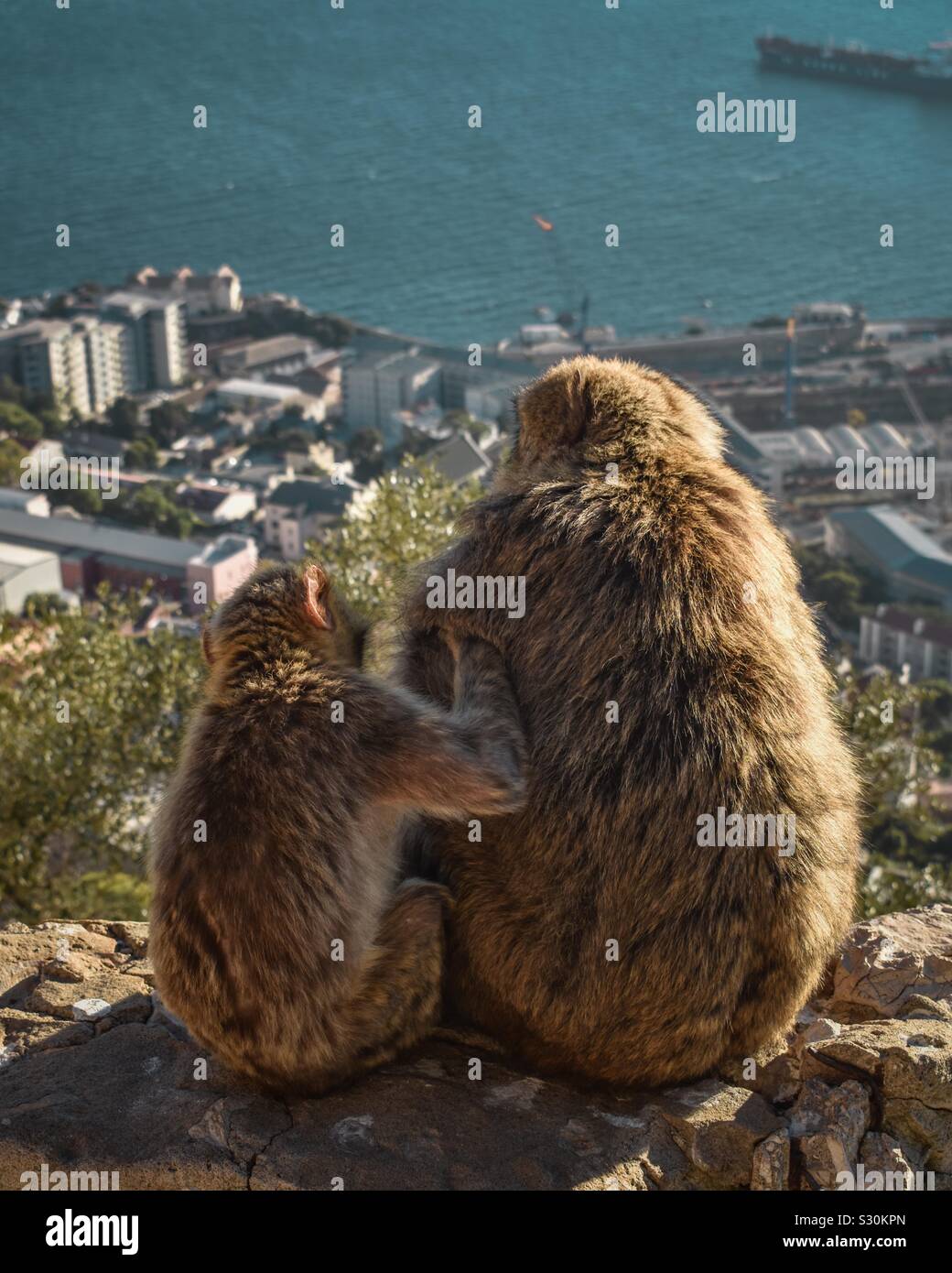 A mother and a child watching over the city Stock Photo