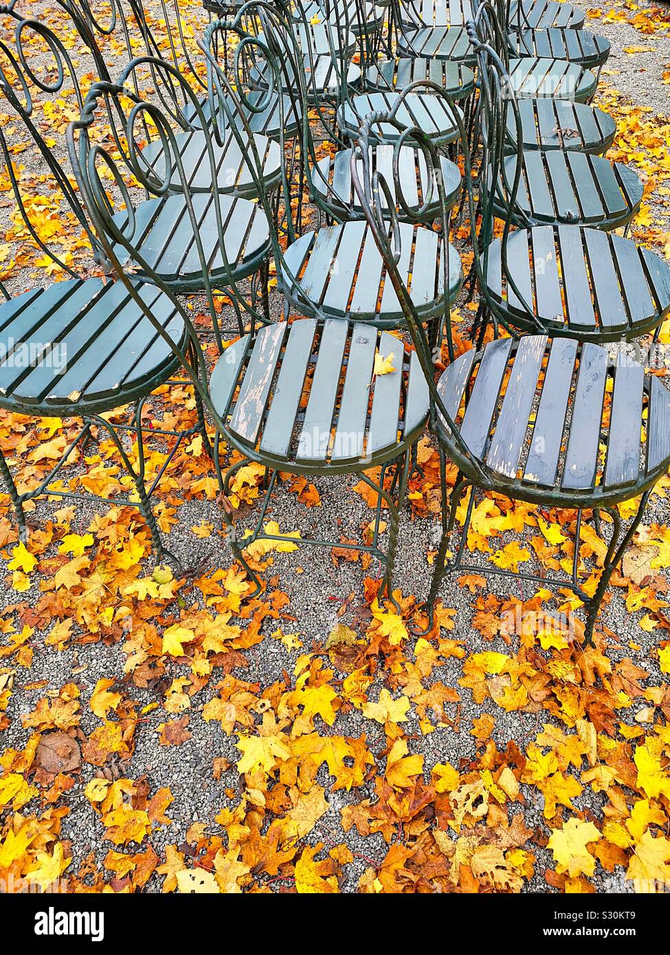 French style cafe chairs amongst autumn leaves, Stockholm Stock Photo