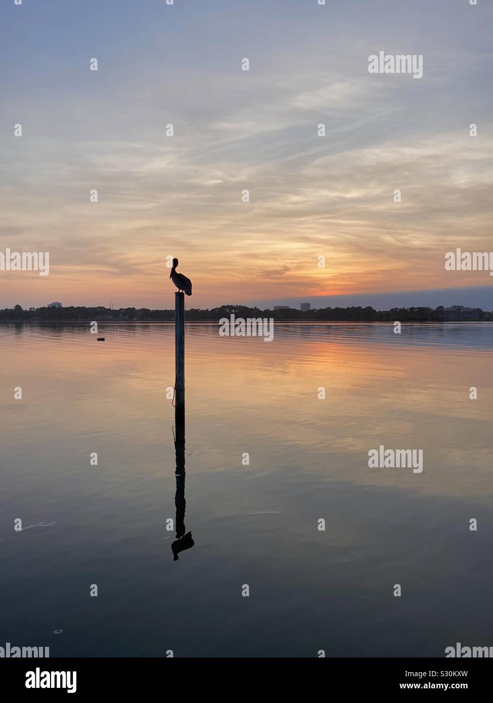 Sunset at the marina with pelican silhouette on a pole in the water Stock Photo