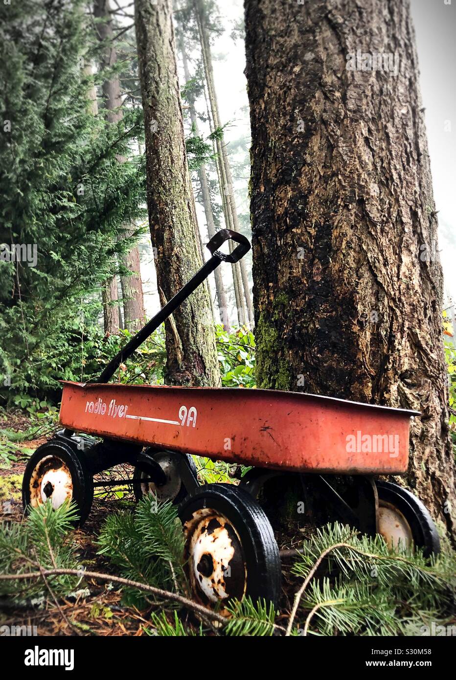 old radio flyer wagon