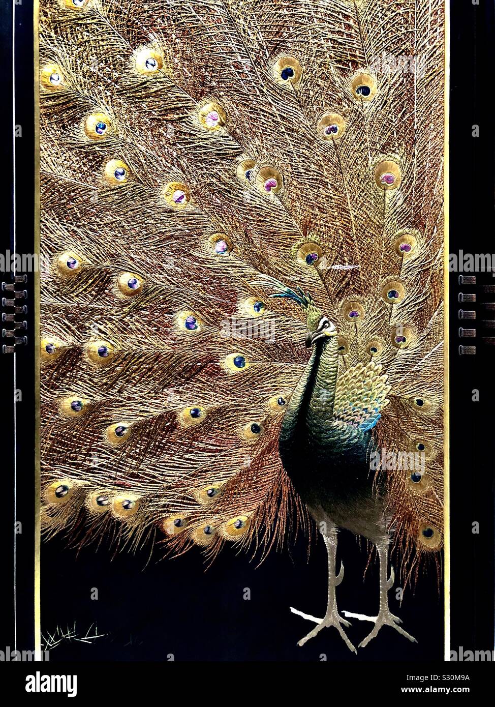 Silk embroidery peacock, Japanese folding screen - Smartphone Captured Stock Image