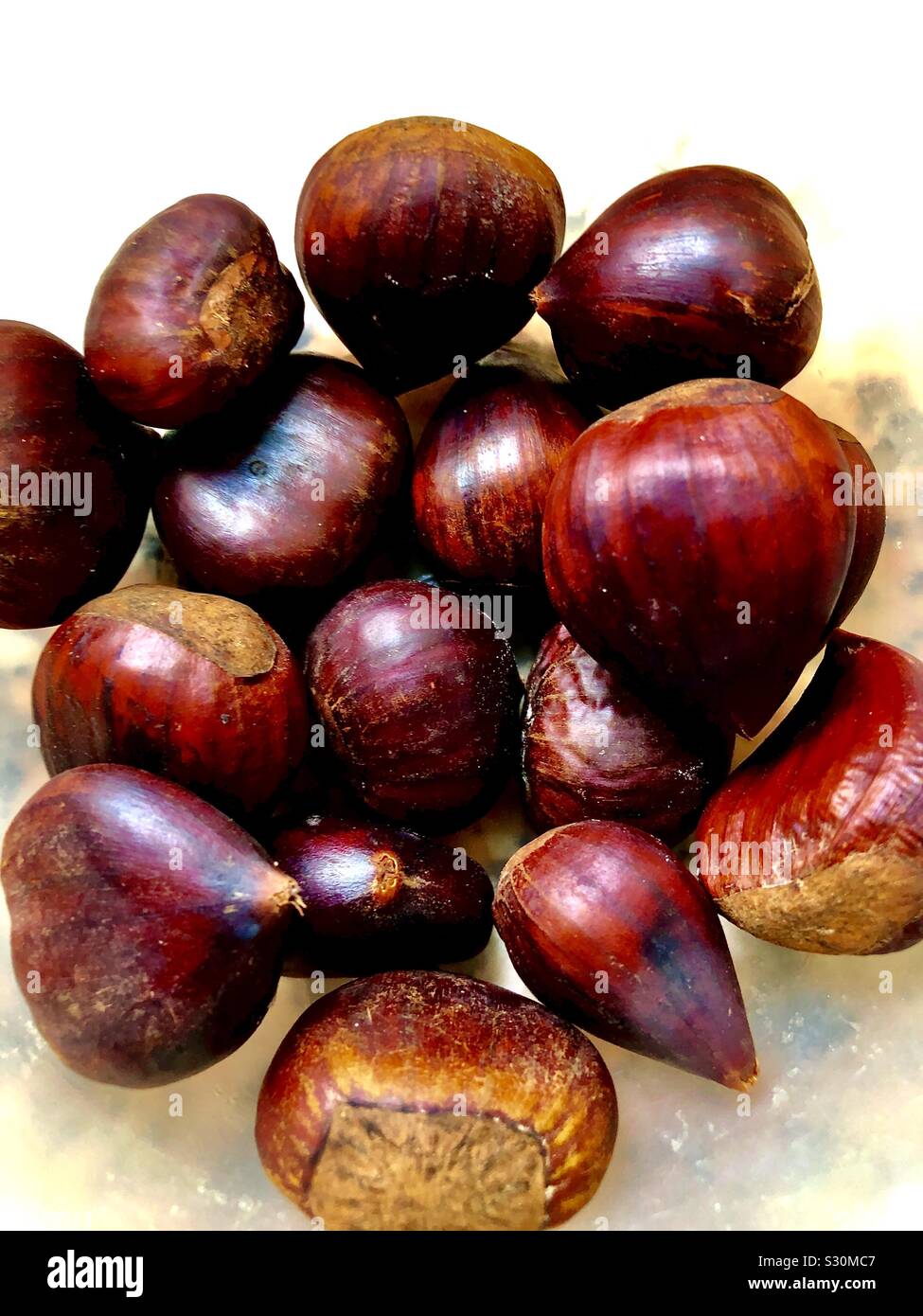 Chestnuts - Smartphone Captured Stock Image