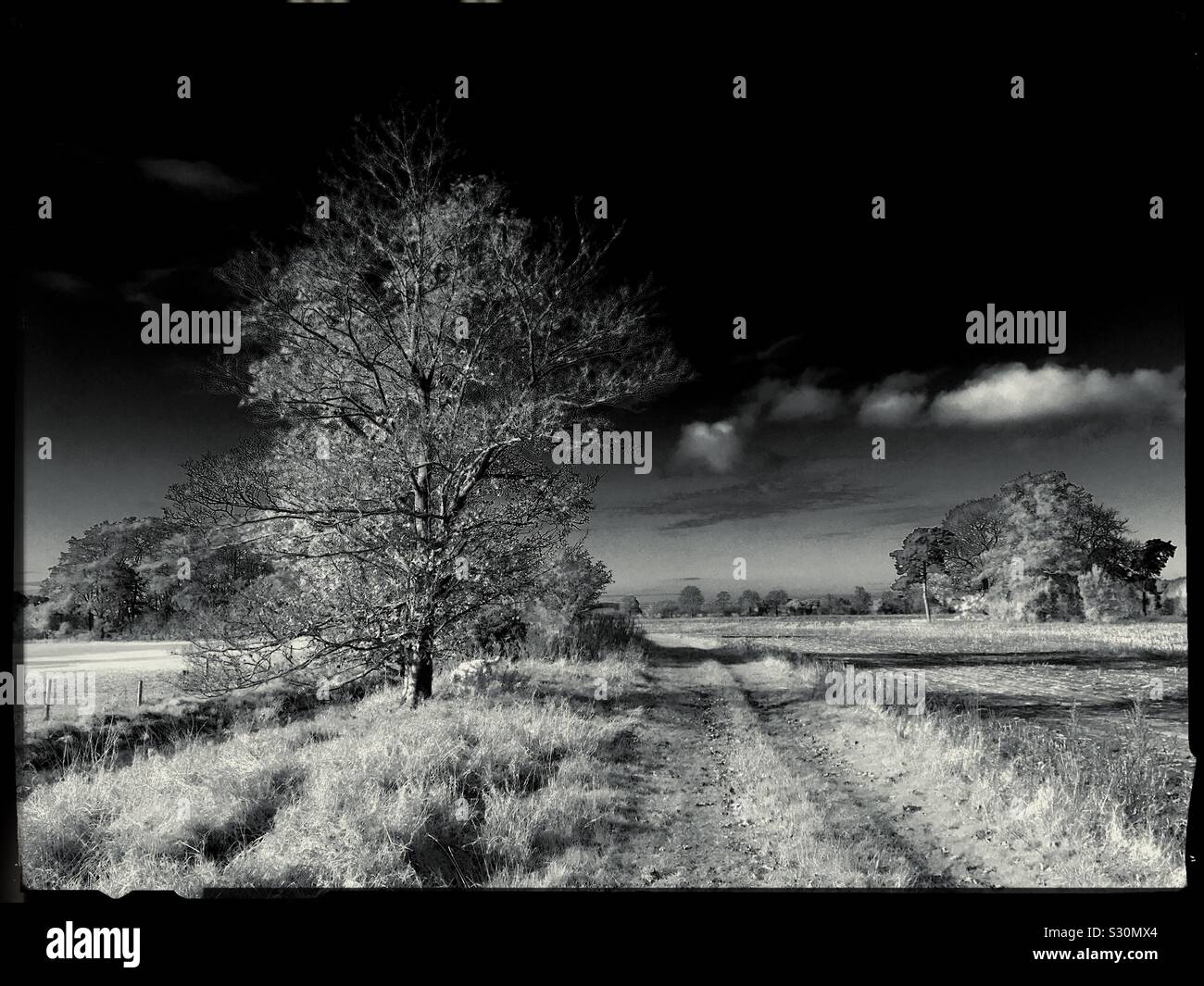 Country track. Lincolnshire, UK. - Smartphone Captured Stock Image