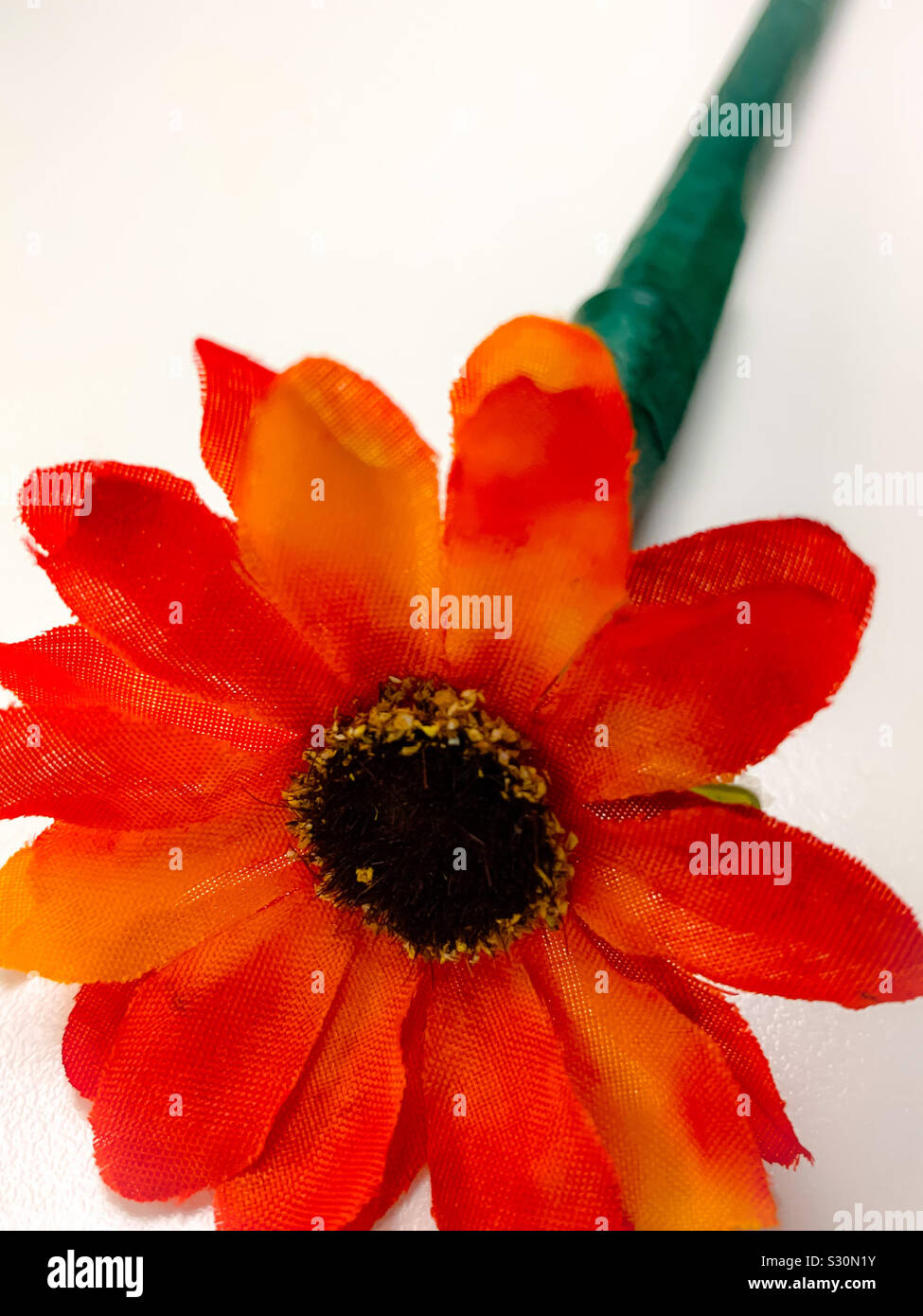 Orange fake flower pen Stock Photo