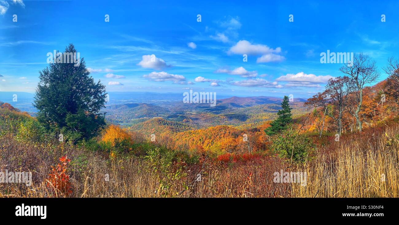 Shenandoah National Park - Smartphone Captured Stock Image
