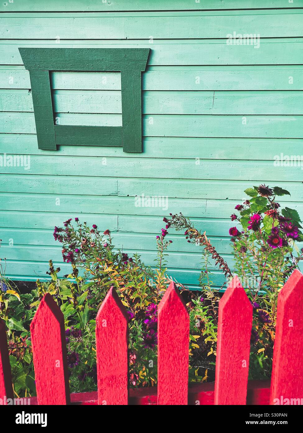 Colourful fence flowers and painted timber cabin, Sweden Stock Photo