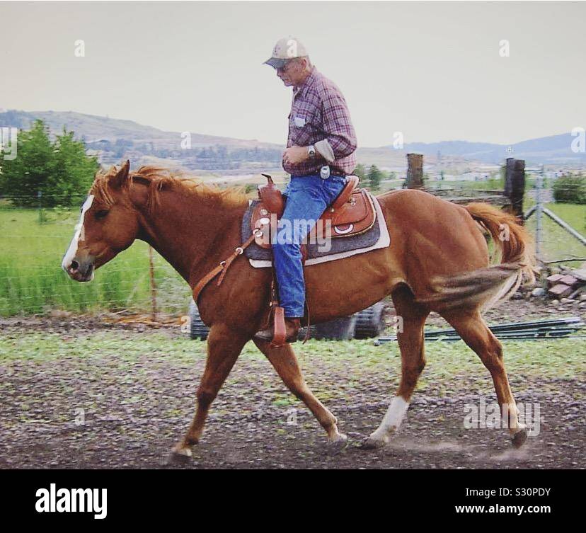 Cowboy riding horse without a bridle Stock Photo