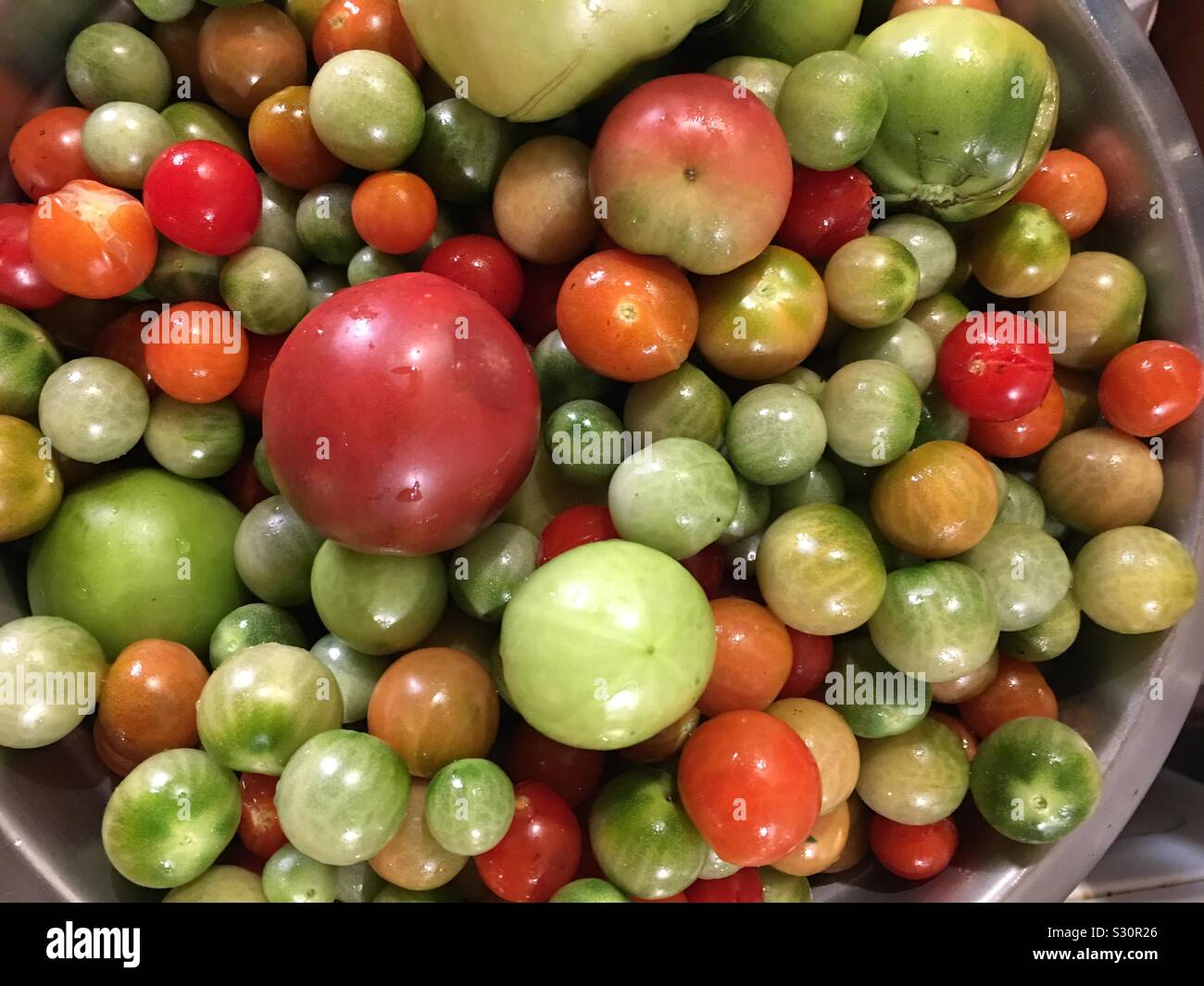 All kinds of tomatoes Stock Photo