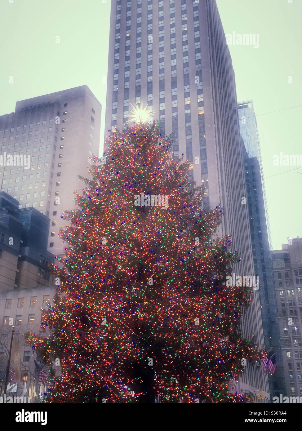 The iconic Christmas tree at Rockefeller Center in midtown Manhattan during the holiday season, NYC, USA - Smartphone Captured Stock Image