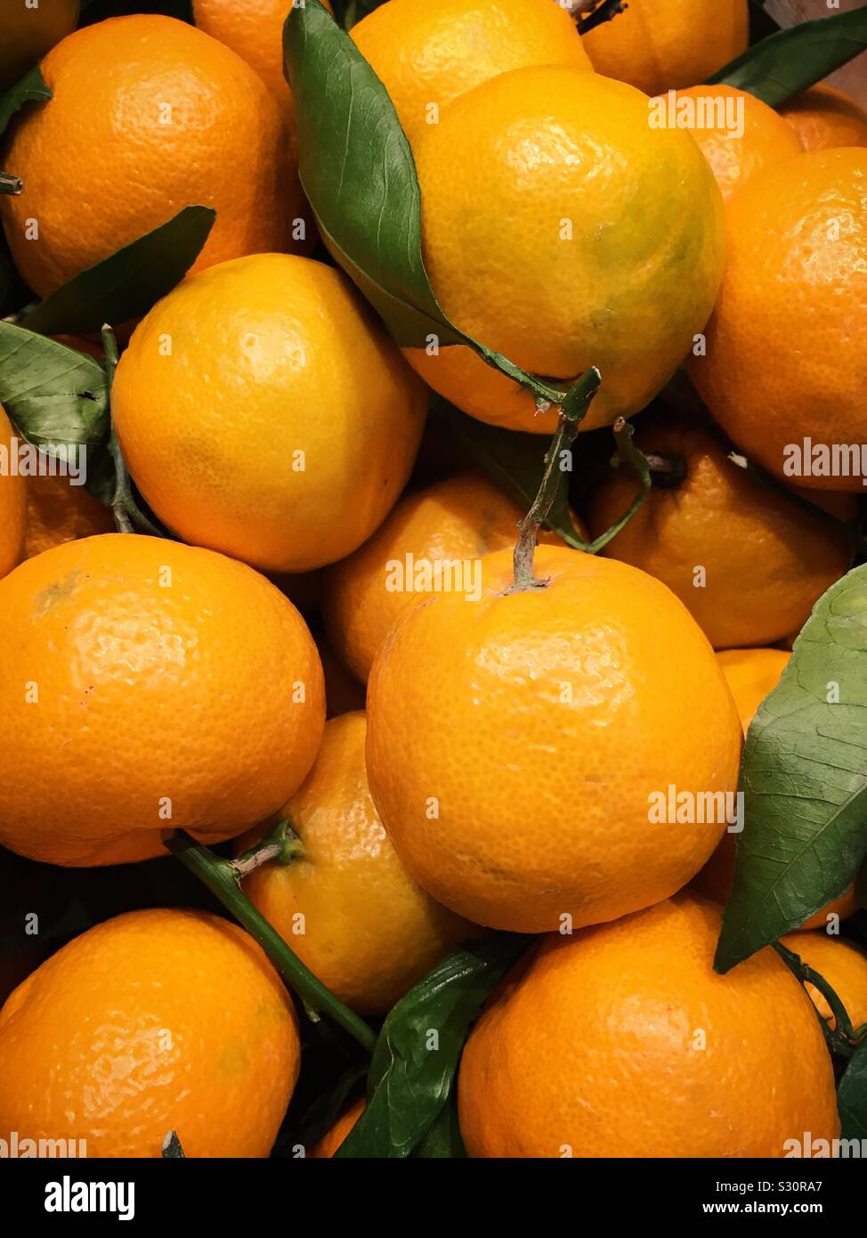 Mandarin oranges for sale in the produce aisle of the grocery store, USA Stock Photo