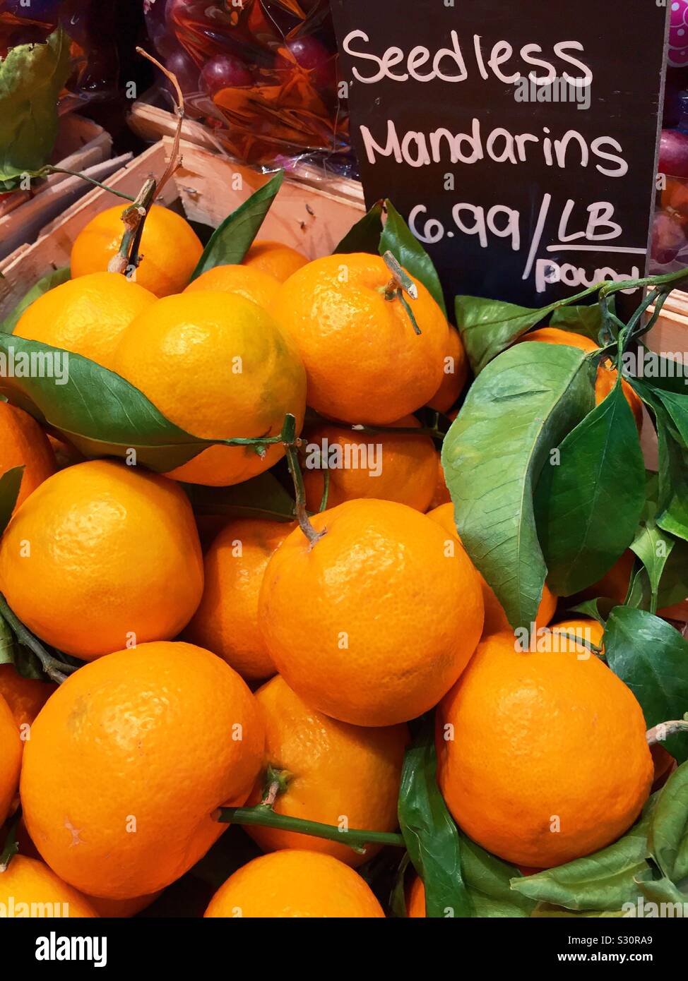 Fresh Mandarin oranges for sale in the produce aisle of the grocery