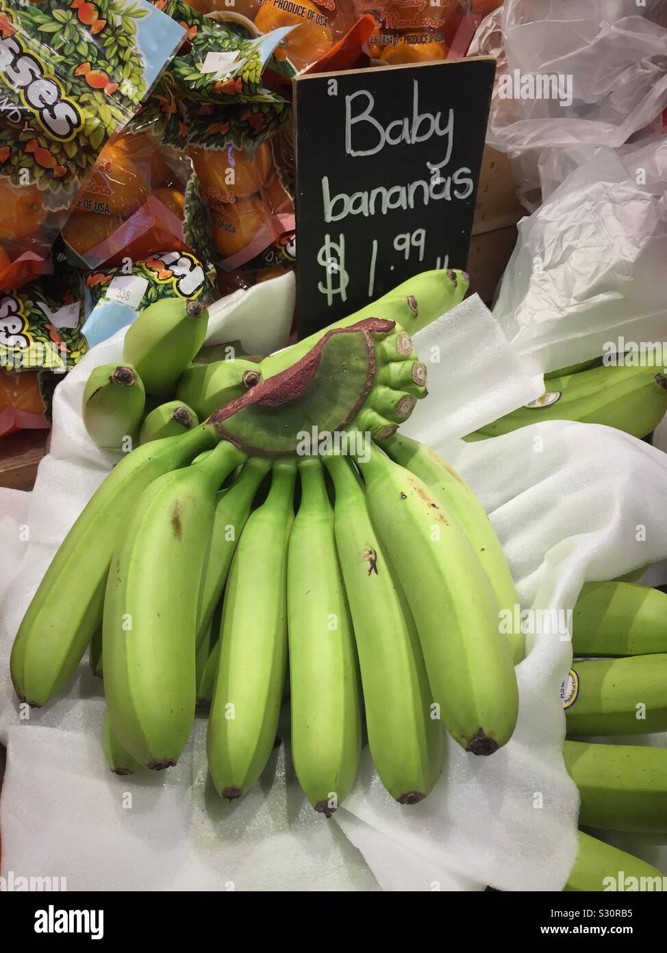 A bunch of baby green bananas for sale in the produce aisle of a grocery store, USA Stock Photo