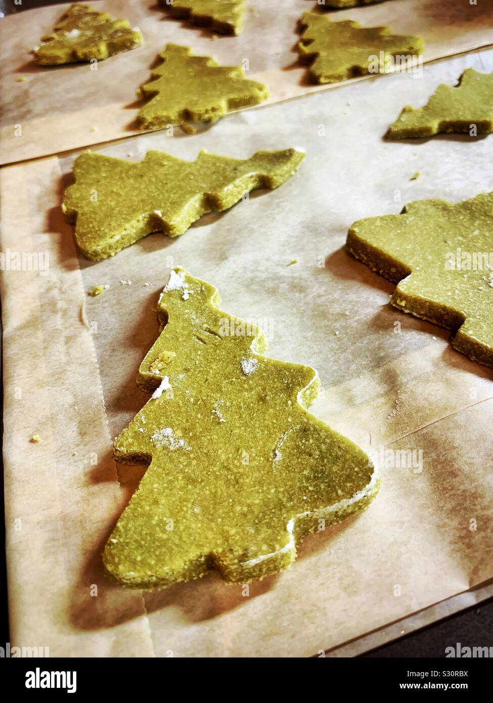 Green matcha Christmas tree cookies are placed on a baking sheet ready to go into the oven. Stock Photo