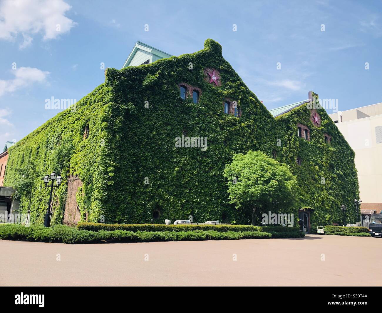 House covered in vines Stock Photo