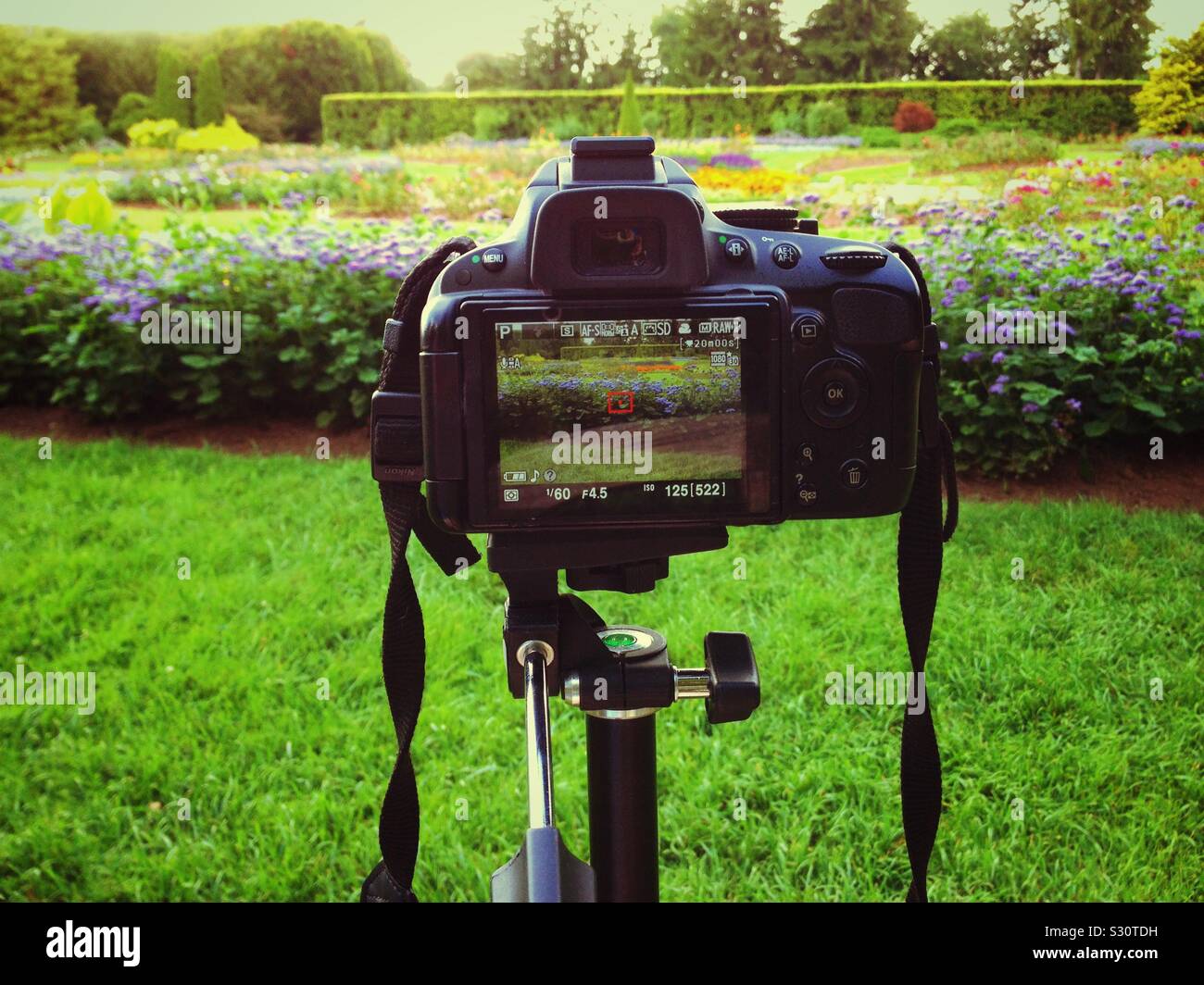 Image in camera viewscreen hi-res stock photography and images - Alamy