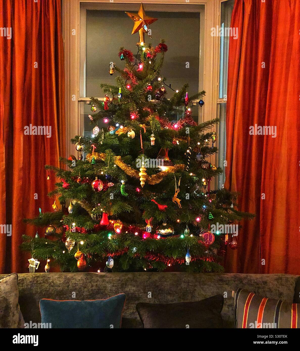 Real Christmas tree Stock Photo
