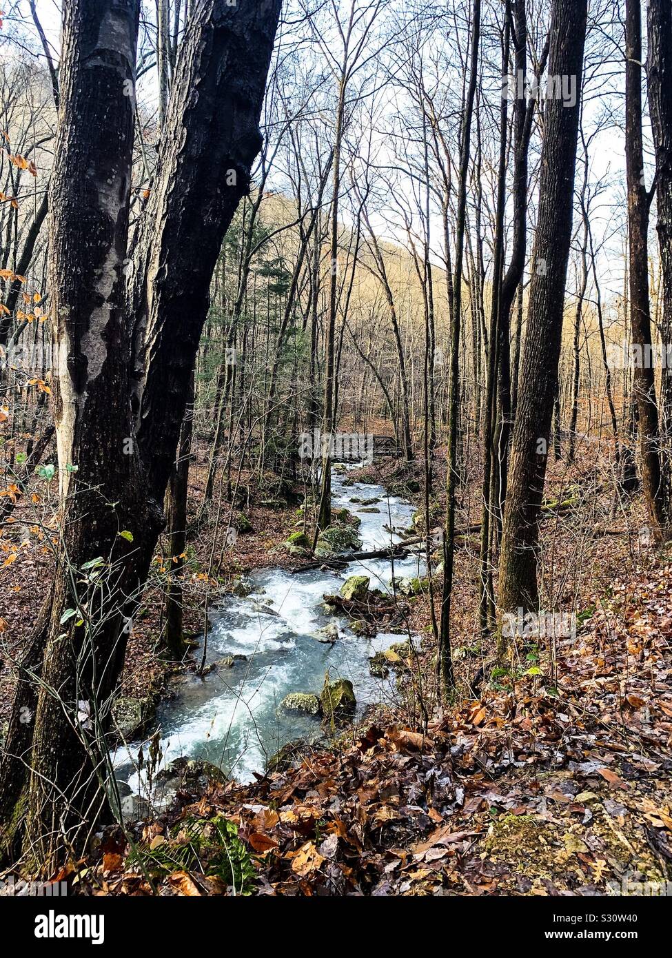 Frozen Head State Park, TN Stock Photo Alamy