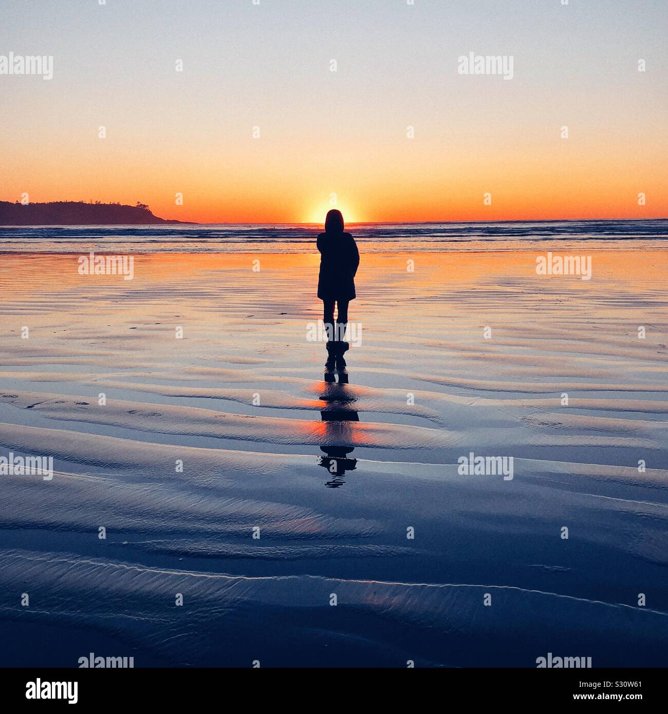 Catching last rays of winter sun - Smartphone Captured Stock Image