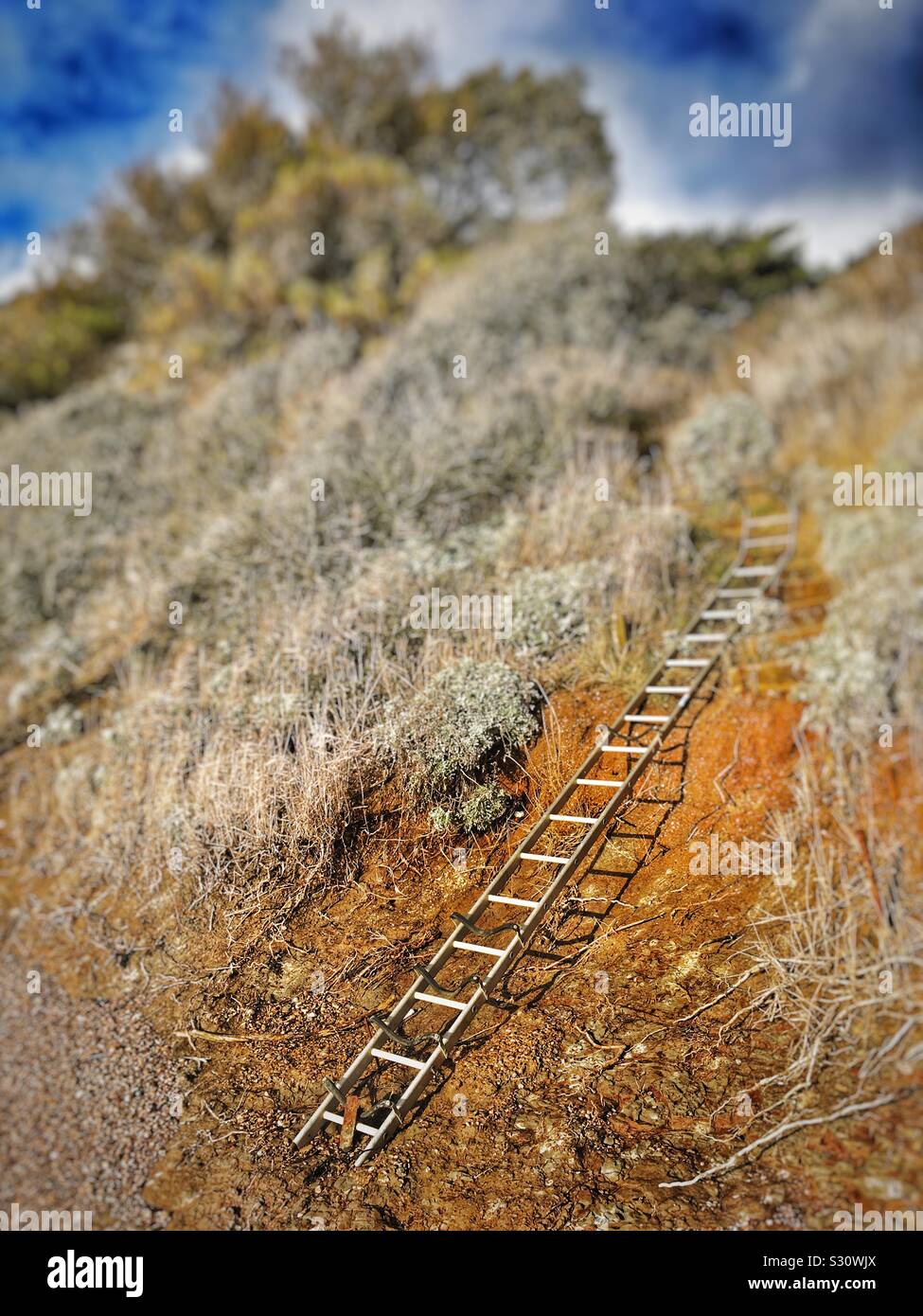 Ladder replacement for steps washed away during coastal erosion - Smartphone Captured Stock Image