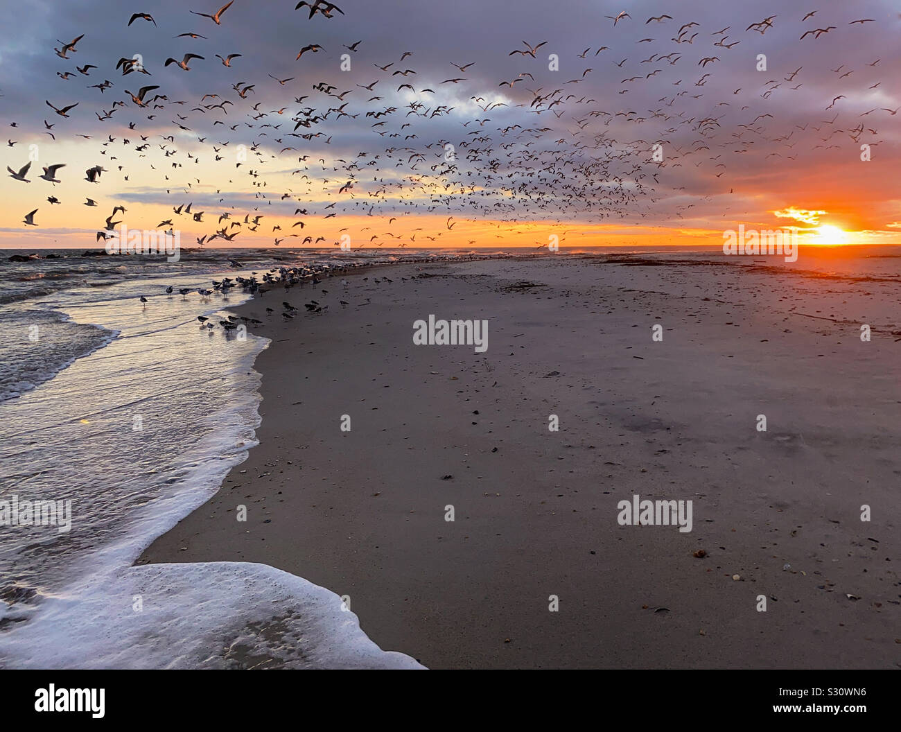 Birds and Sun on the Rise along the ocean, Fort Clinch State Park, Florida, USA. Stock Photo