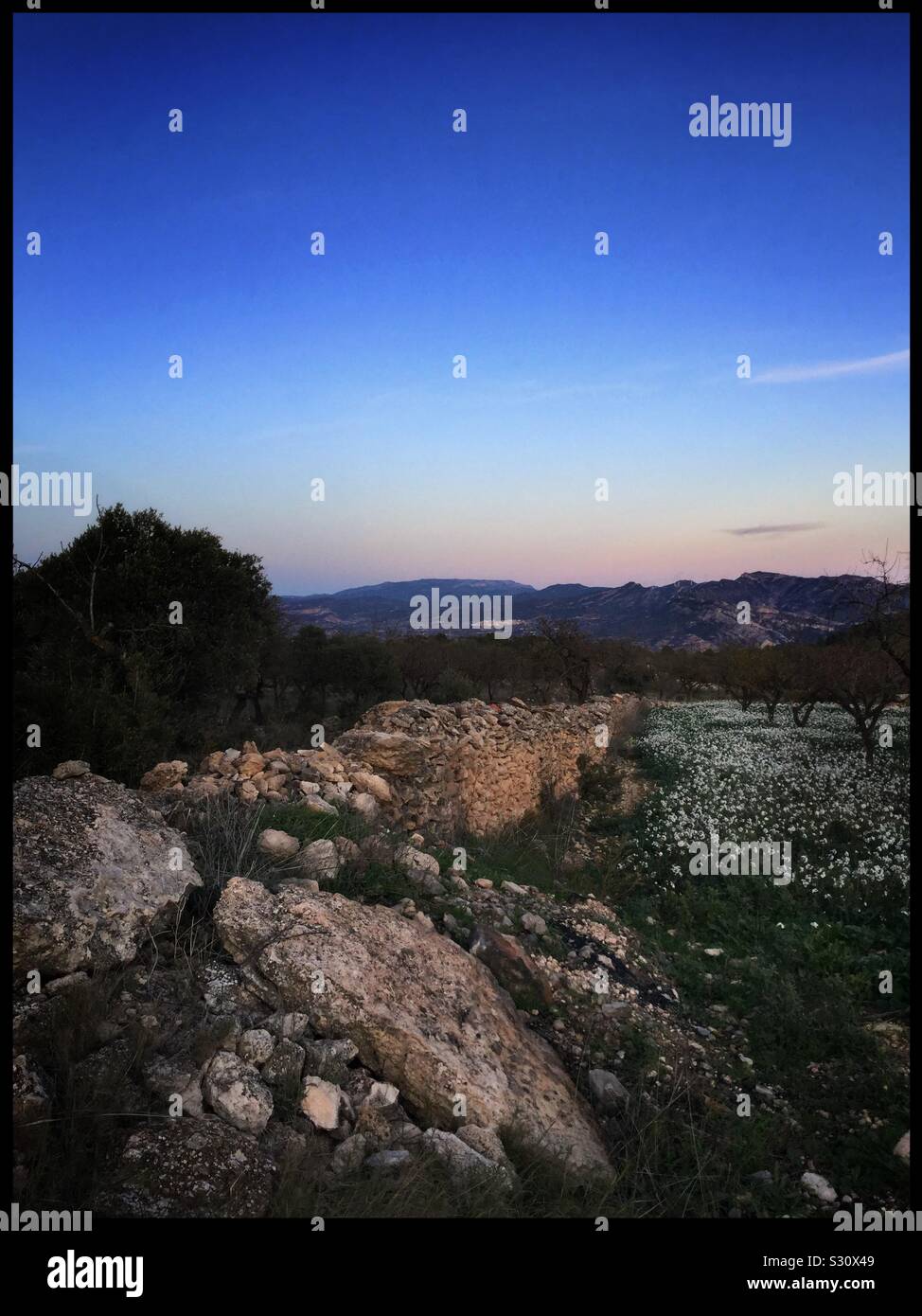 A December sunset looking towards Montsant, Catalonia, Spain. - Smartphone Captured Stock Image