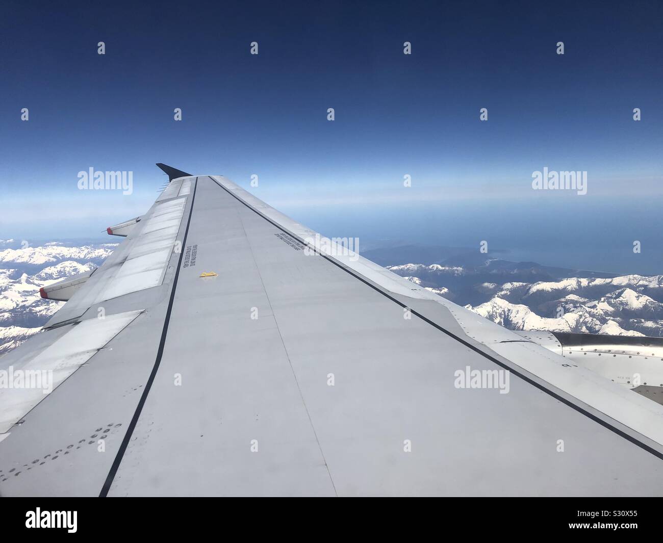 Flyaway Along the Wing - Smartphone Captured Stock Image