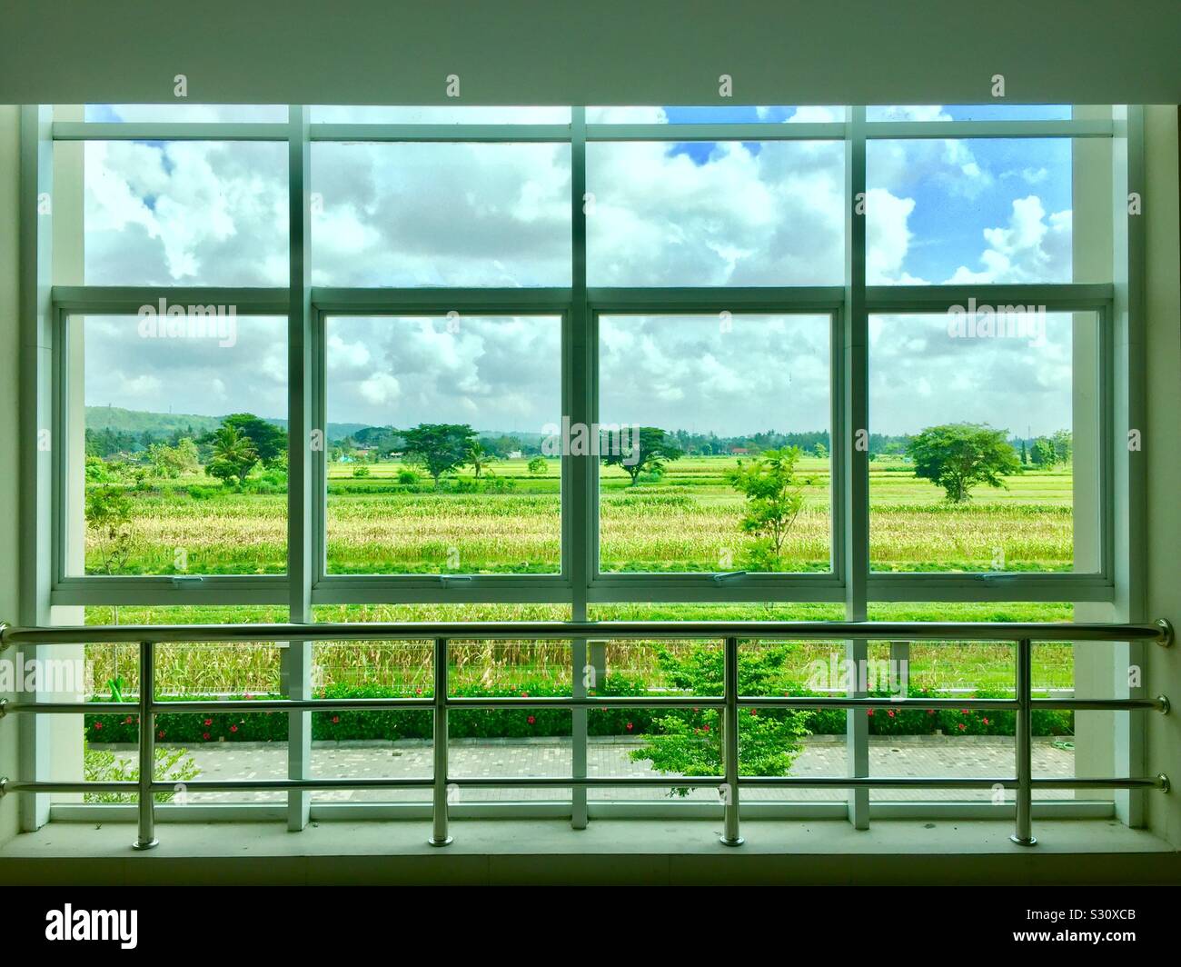 Frame of green scenery Stock Photo