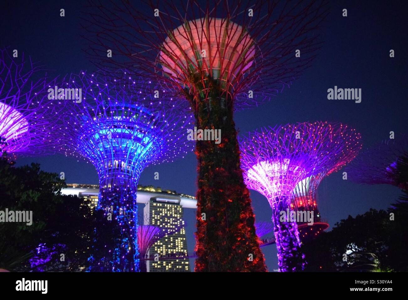 Gardens by the bay Stock Photo Alamy