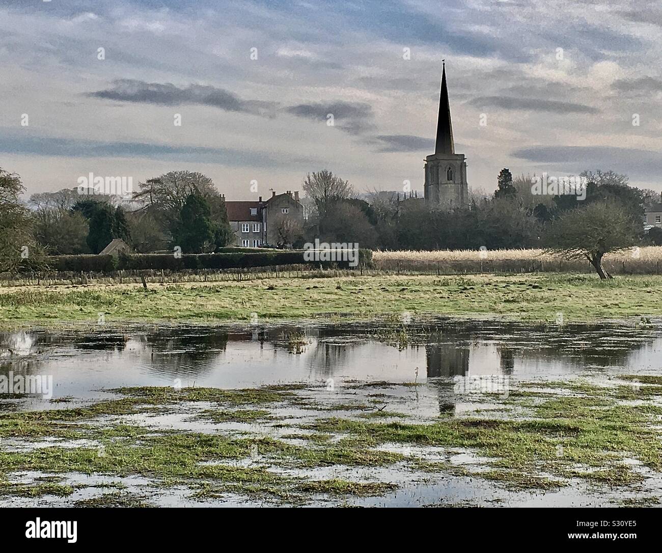 Flooding Field - Smartphone Captured Stock Image