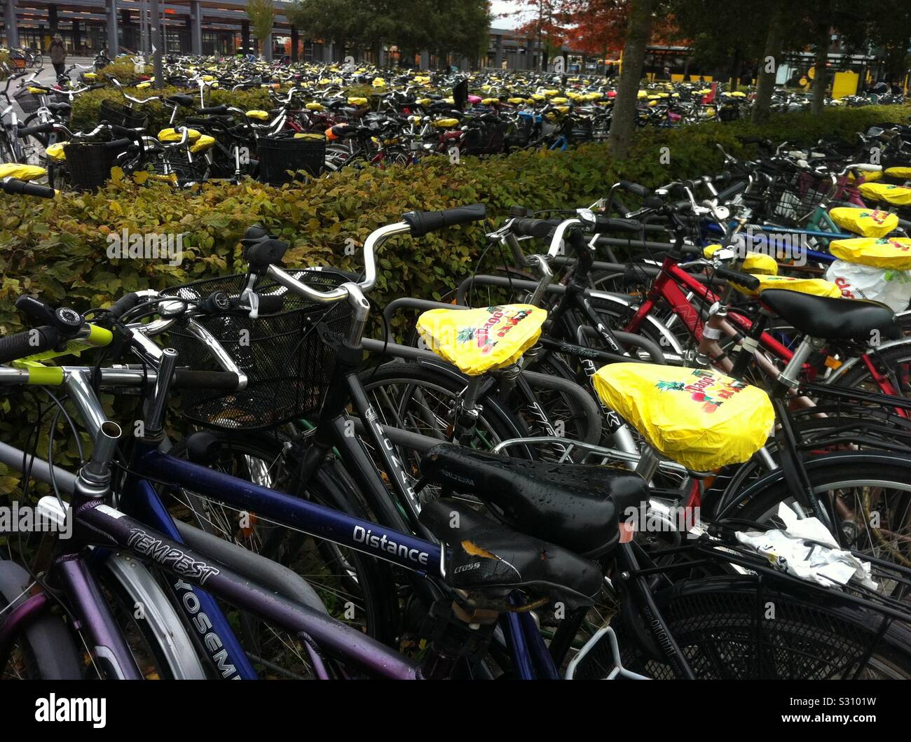 Thousands of parked bikes and saddles covered with yellow rain covers (promotion branded) parked near Uppsala city train station parking area hosting one of the largest bicycles parking view. Sweden. Stock Photo