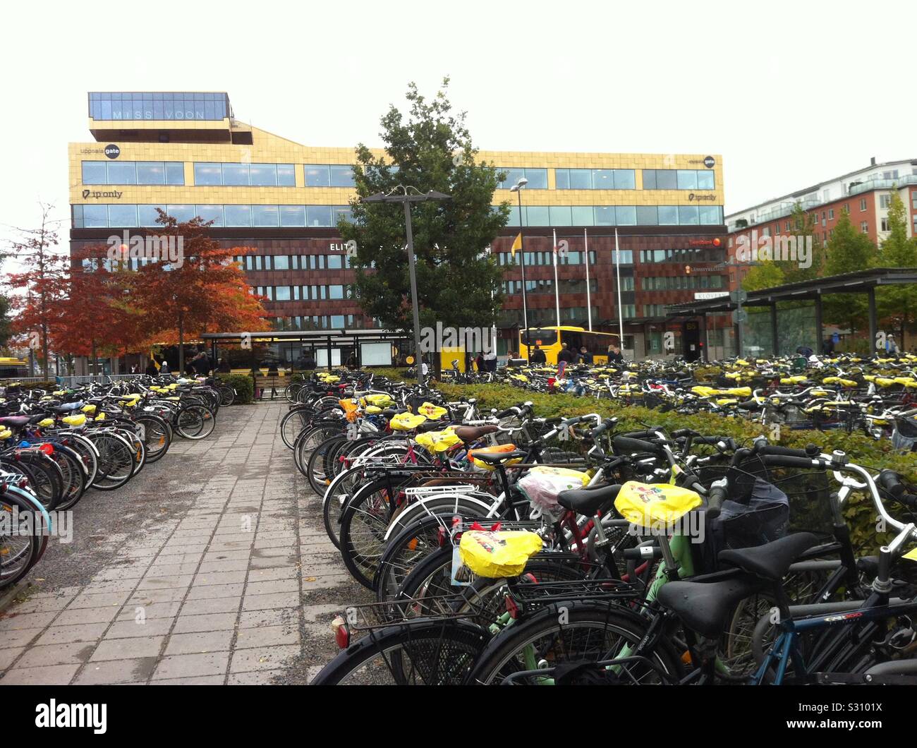 Thousands of parked bikes and saddles covered with rain covers (promotion branded) parked near Uppsala city train station parking which undergoes construcion of a huge indoors parking site. Sweden Stock Photo