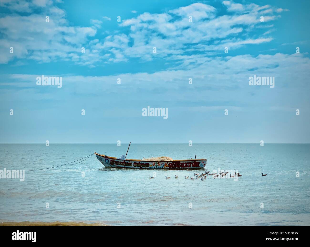 Beauty and nature hi-res stock photography and images - Alamy