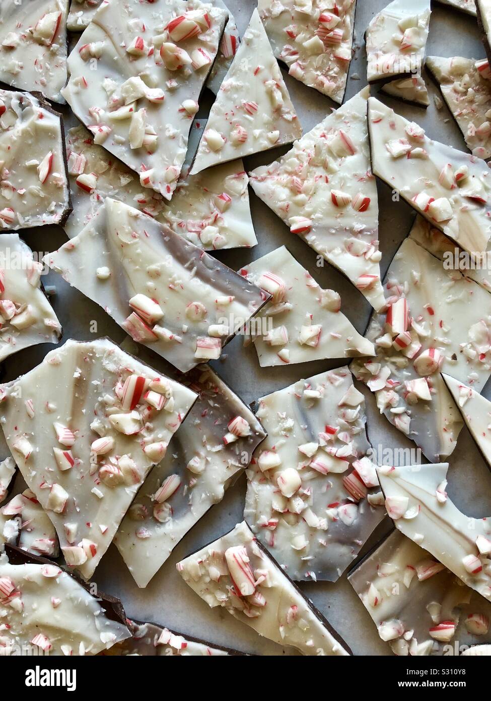 Peppermint bark - Smartphone Captured Stock Image