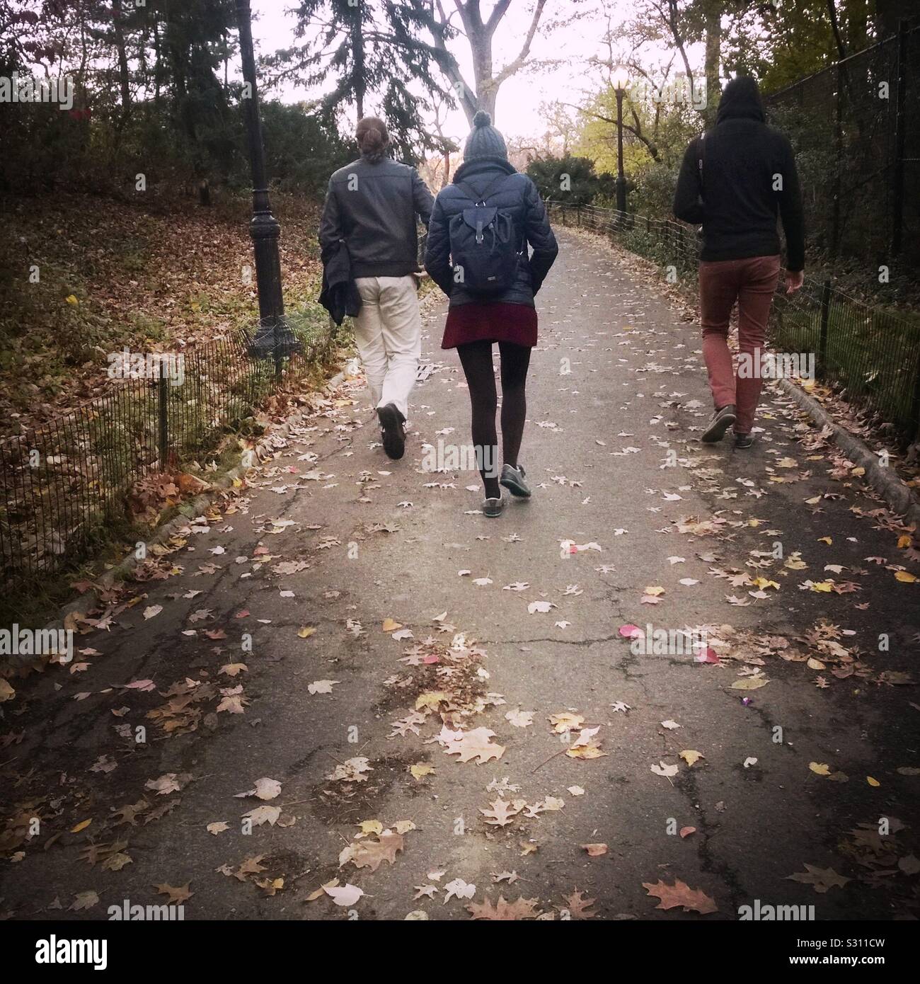 Three young people in their early twenties walking up an alley in Central Park, New York City, in an autumnal day Stock Photo