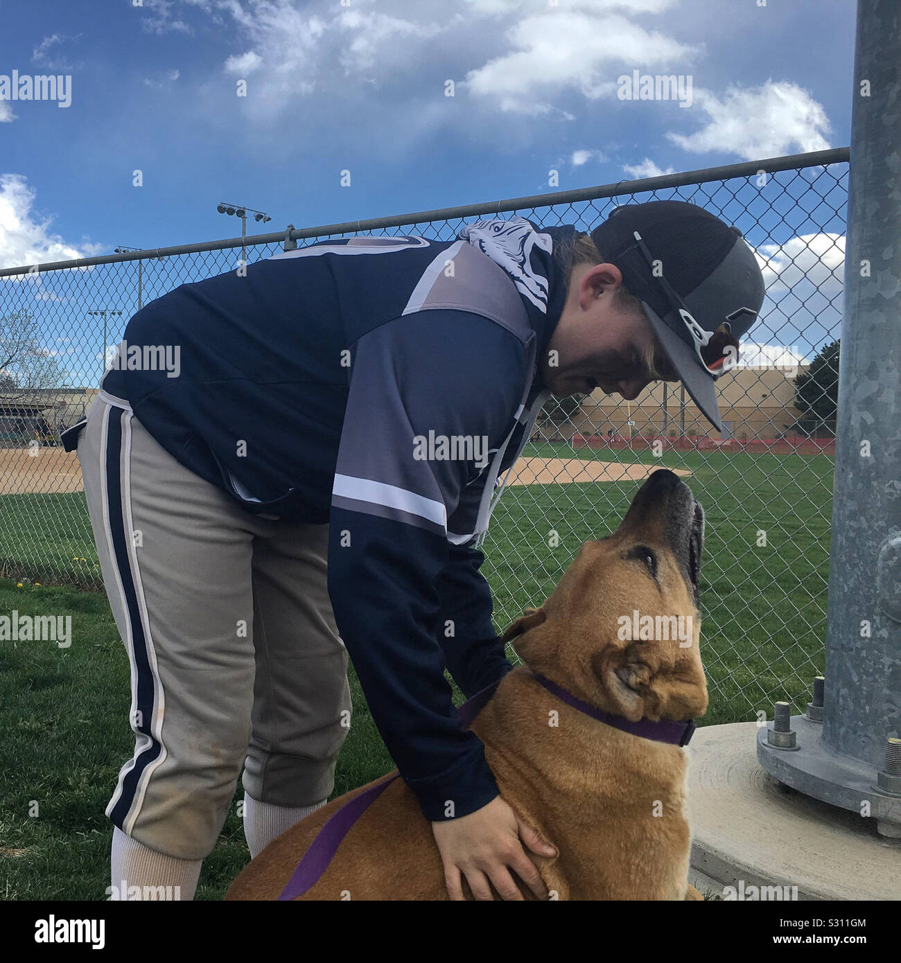 Softball player hires stock photography and images Alamy