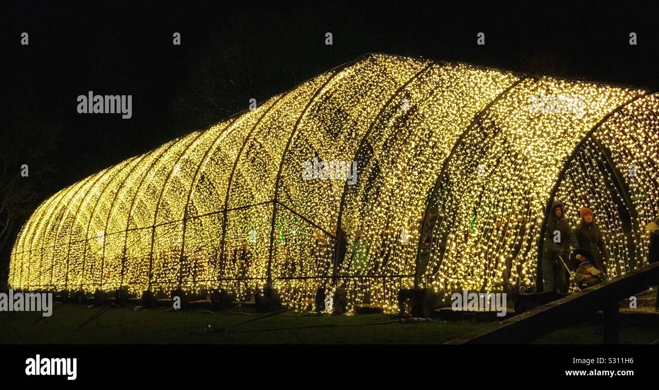 Blenheim Palace Illuminated Christmas Light Trail 2019 Cathedral Of Lights Stock Photo Alamy